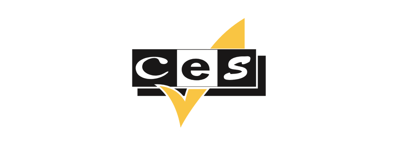 CES Dublin 800x300