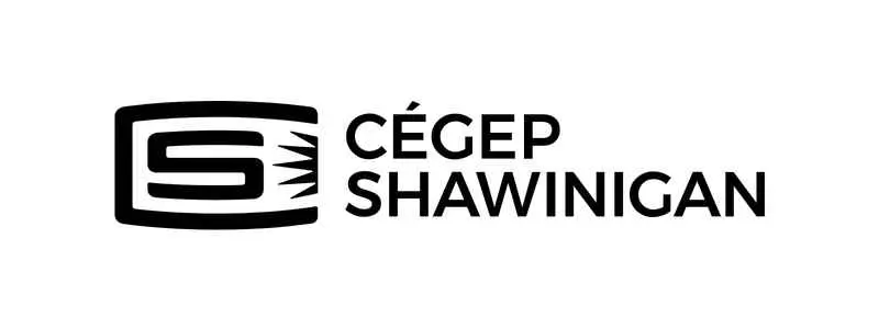 CÉGEP DE SHAWINIGAN 300x800